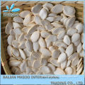 Chinese organic snow white pumpkin seed kernel in shell ,top quality